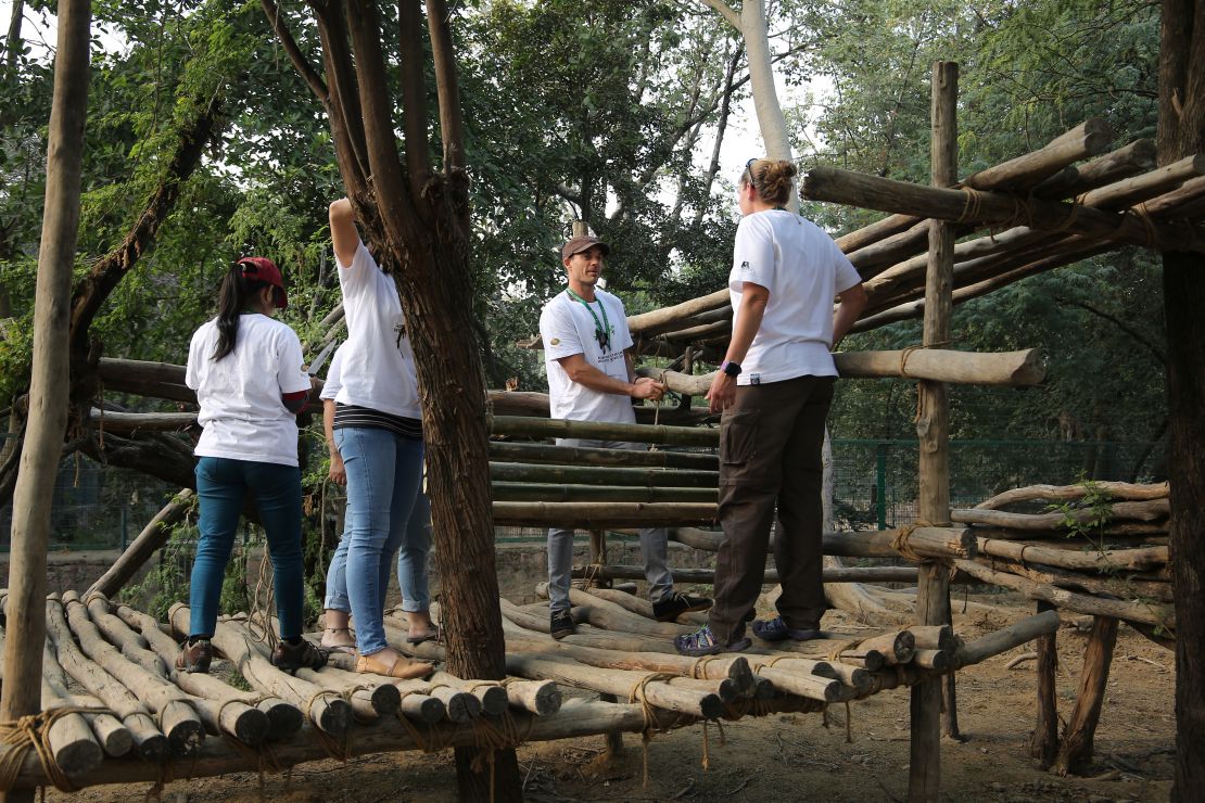 A group of volunteers repairing bear enrichment