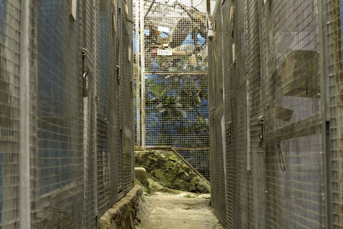 A row of enclosure at the slow loris sanctuary