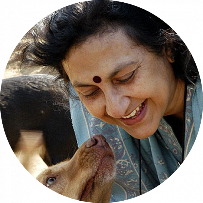 Geeta profile picture