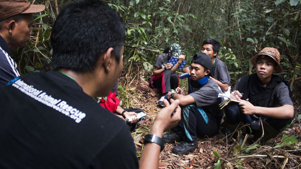 A Conservation Camp in action - learning in the forest
