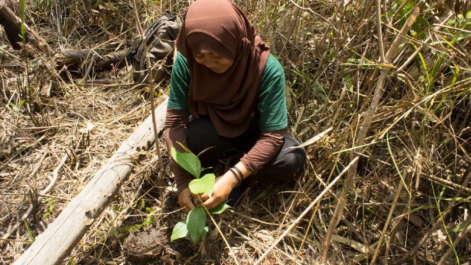 Staff member planting a tree sapling