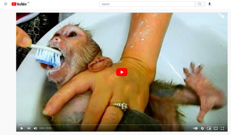 Macaque being abused on youtube