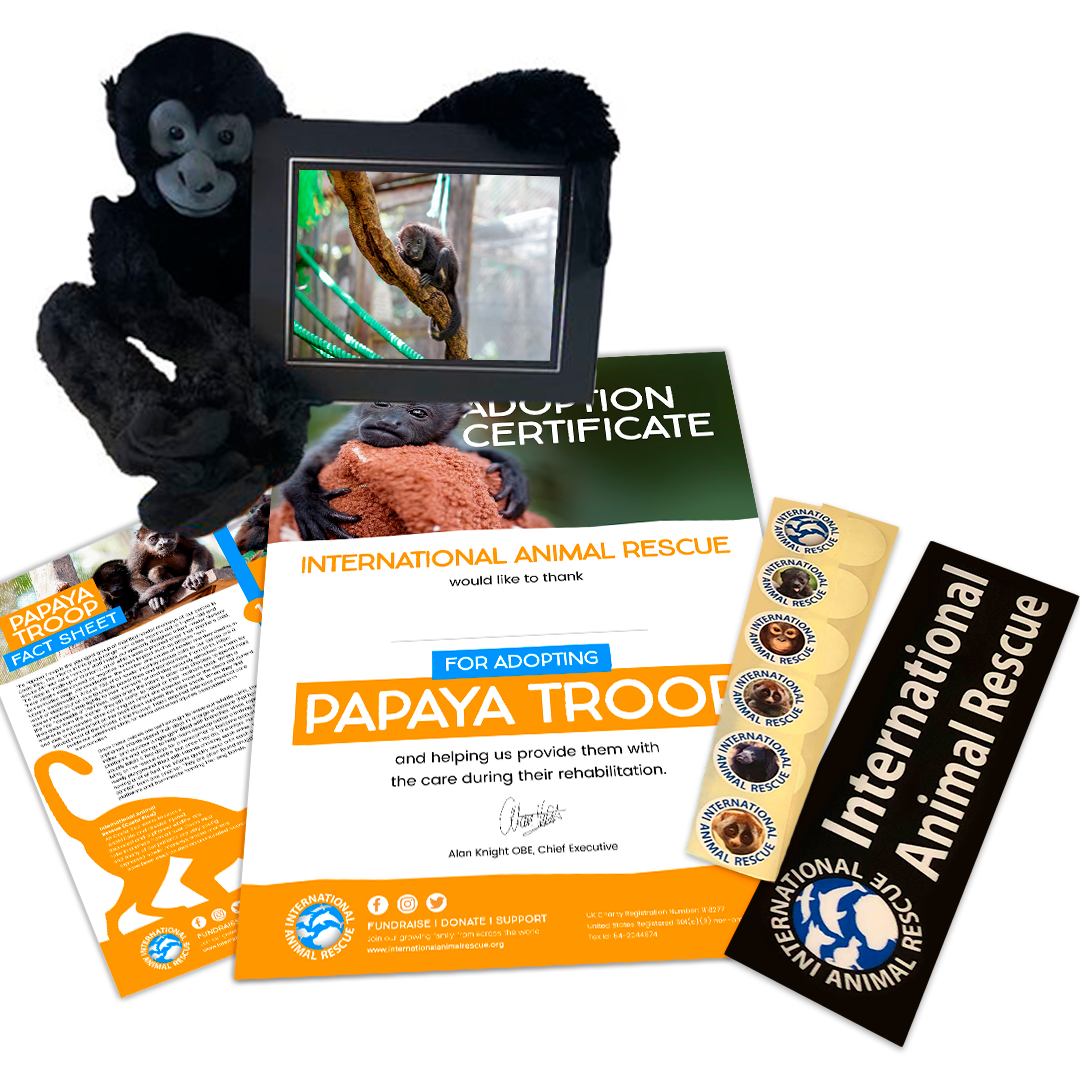 Papaya troop adoption pack
