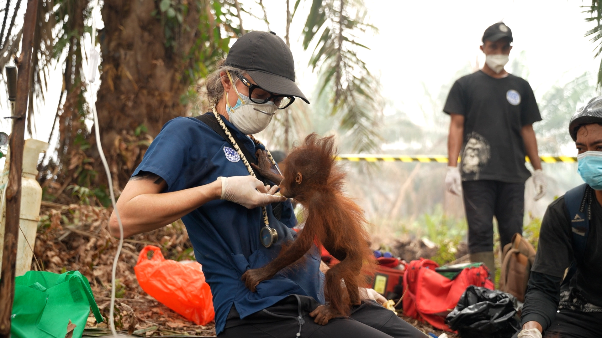 Vet in a face mask, cap and gloves holds a small baby orangutan on her lap and tries to feed it, with smoke haze, rescue kit bags and two masked team members behind her.