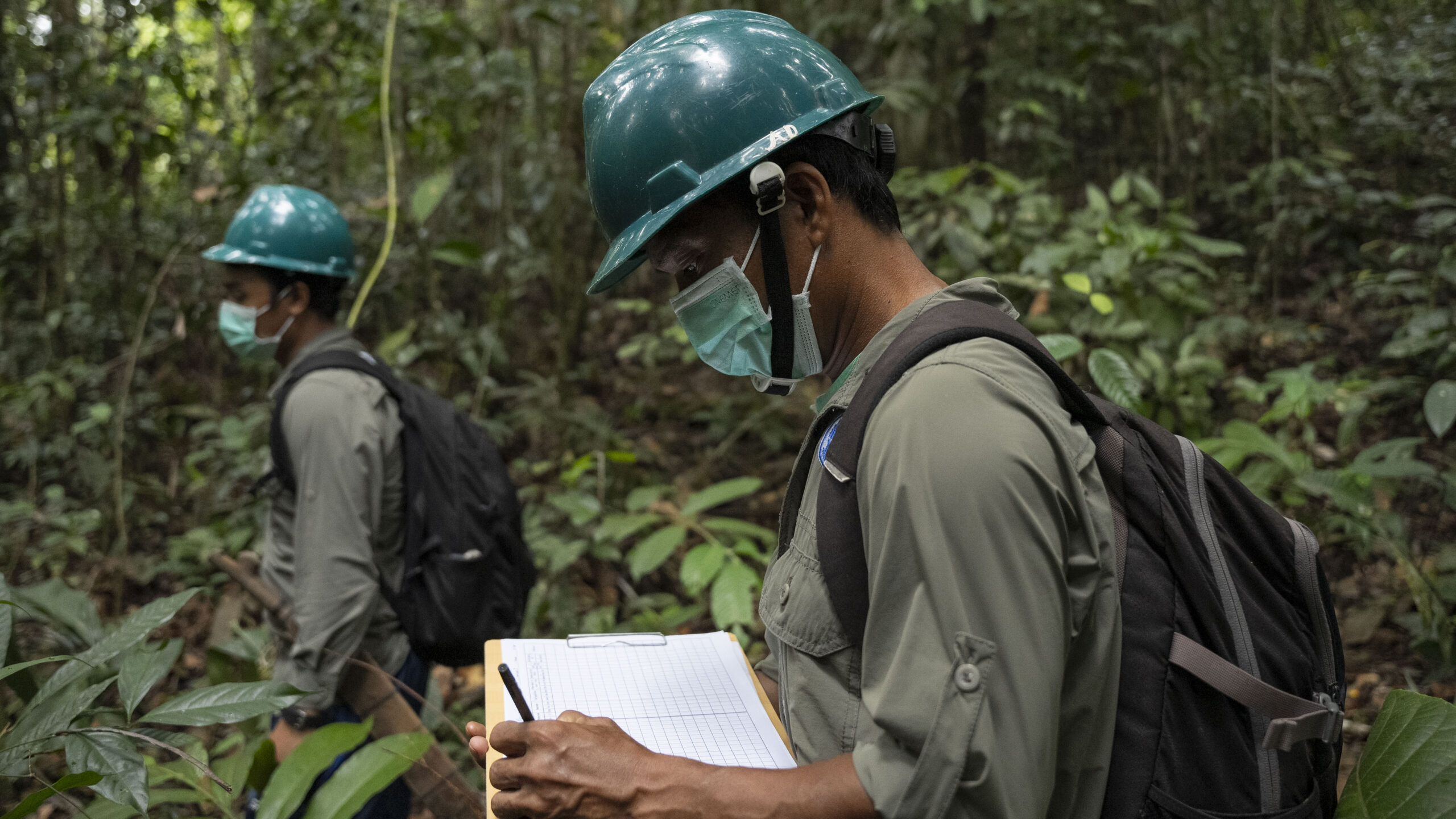 Two scientists with hardhats and notebooks monitoring the forest.