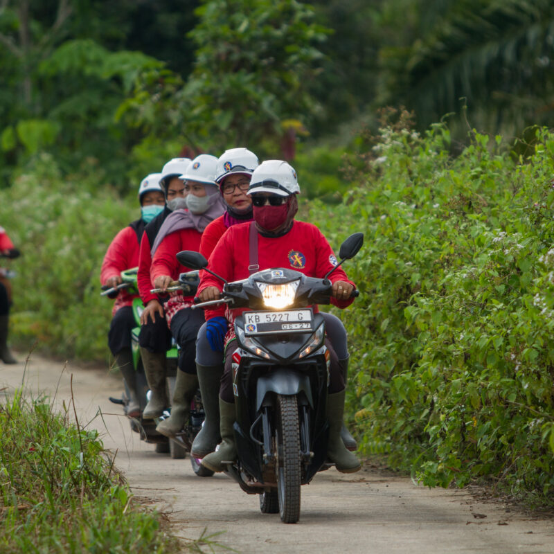 On Patrol