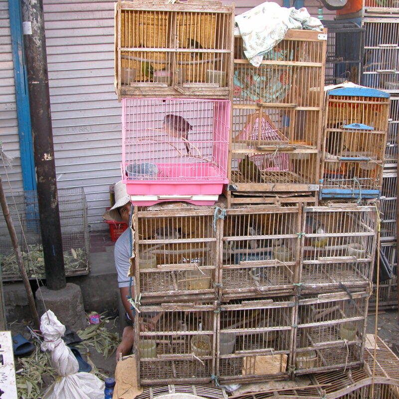 Wildlife Kept in Terrible Conditions
