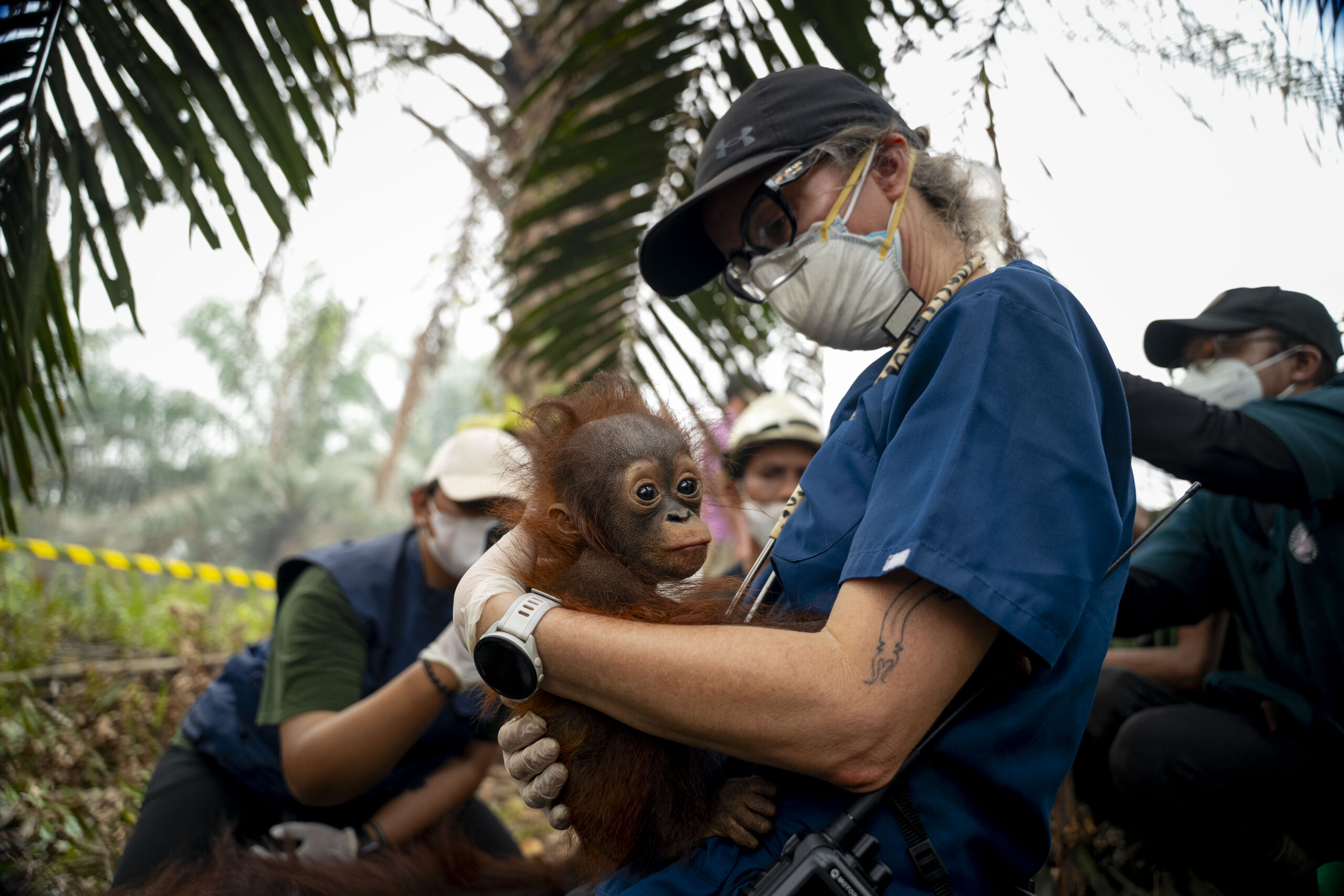 Vet Karmele Llano Sánchez, wearing a face mask and scrubs, holds infant orangutan Irene during a rescue in smoke-filled forest in Indonesia, with team members working behind her.