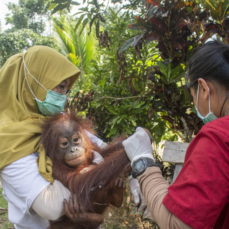 Vets discovered she had a skin disease