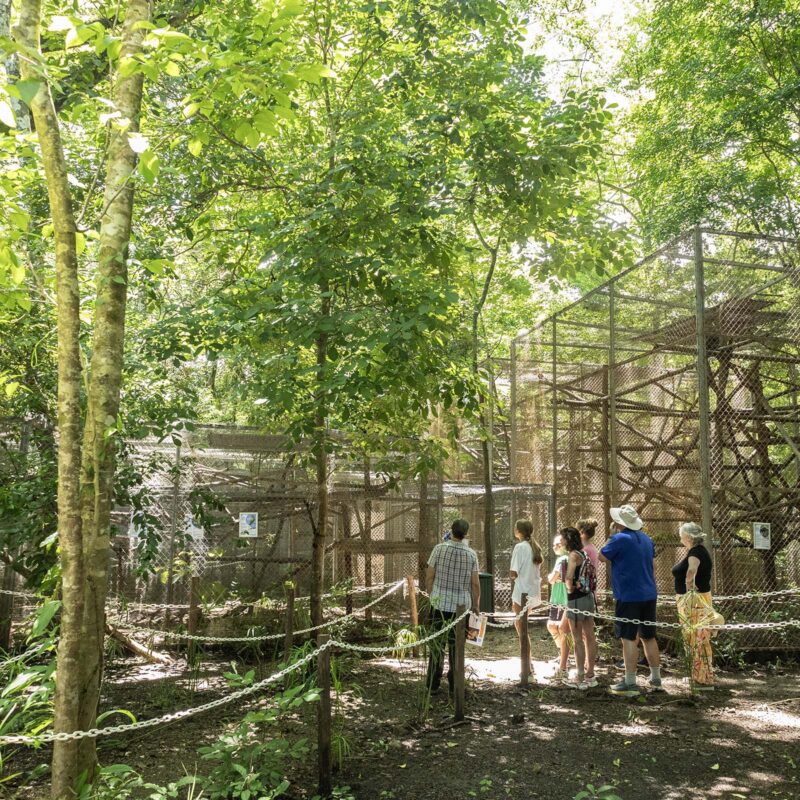 Helped build wildlife sanctuary in Costa Rica